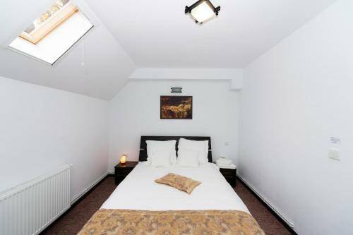Hostal Stejarul Lui Andrei