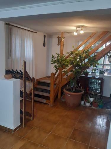 Casa Rustica Malu Vanat