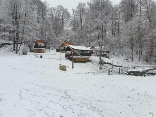 Hostal Satu Muscelean