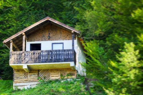 Hostal Satu Muscelean
