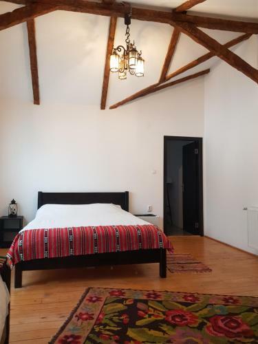Hostal Satu Muscelean
