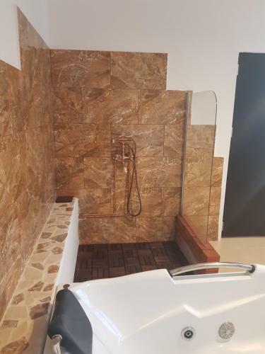 Hostal Satu Muscelean