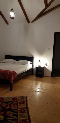 Hostal Satu Muscelean