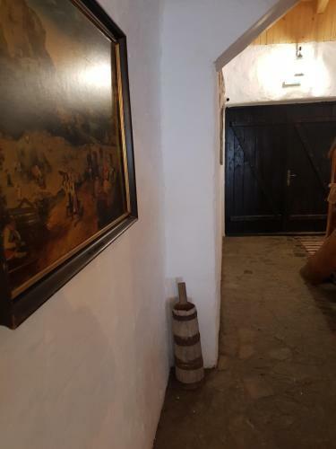 Hostal Satu Muscelean