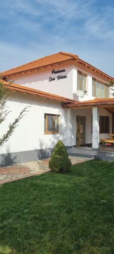 Hostal Casa Voinea