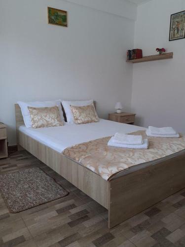 Hostal Terra Nova Solis