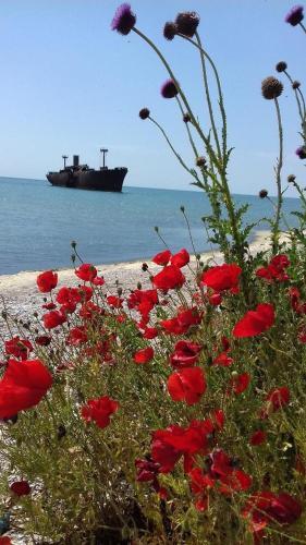 Hostal Terra Nova Solis