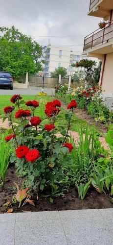 Hostal Timona- Camere De �nchiriat