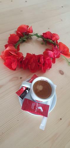 Hostal Black Sea View Costinesti