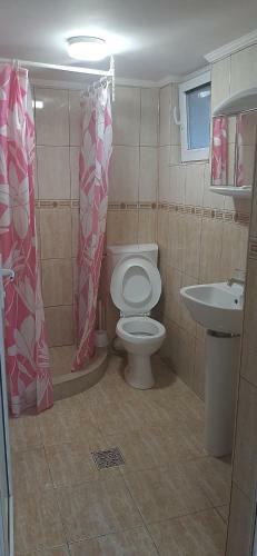 Hostal Pensiunea Albatros