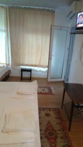 Hostal Vila Stefan Pescarusului Costinesti