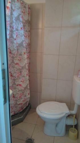 Hostal Vila Stefan Pescarusului Costinesti