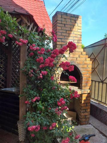 Hostal Vila George