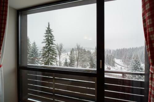 Forest Apartment Silver Mountain Resort