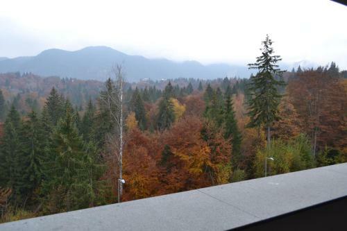 Forest Apartment Silver Mountain Resort