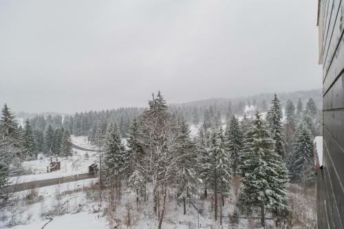 Forest Apartment Silver Mountain Resort