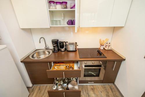 Stylish Mountain Loft Apartment In Poiana Brasov