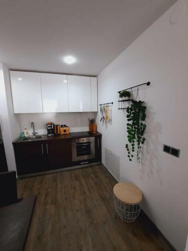 Silver Mountain Apartment 36a