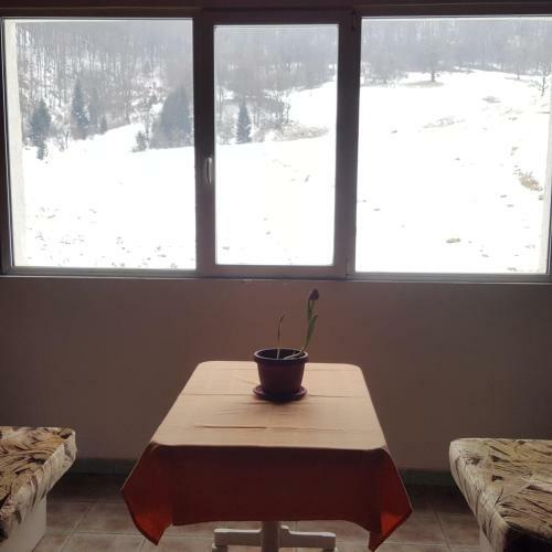 Hostal Poiana Cristian