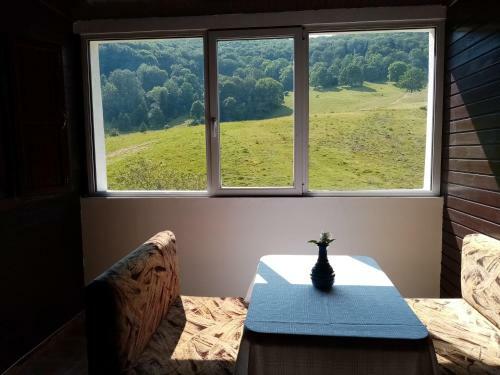 Hostal Poiana Cristian