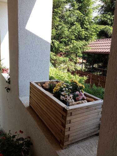 Hostal Poiana Cristian