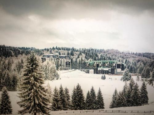 Silver Mountain Apartment