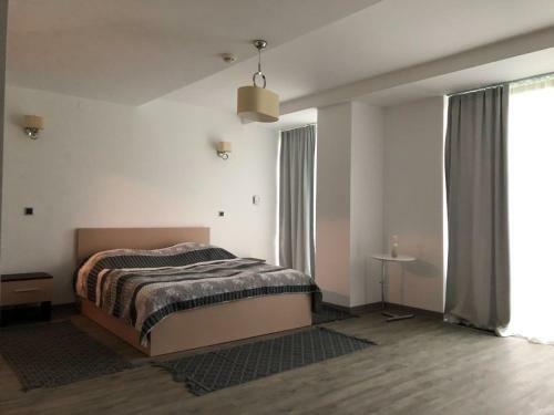 Silver Mountain Apartment
