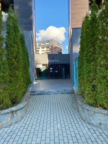 Luxury Apartment Silver Mountain Vue
