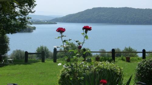 Apartamentos Atxarmin