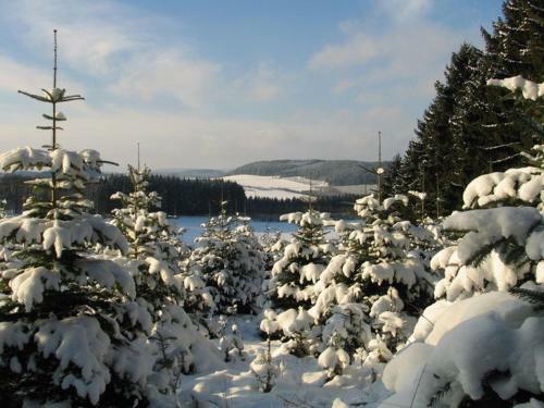 Apartamento Hardebusch I