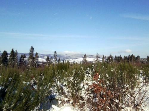 Apartamento Hardebusch I