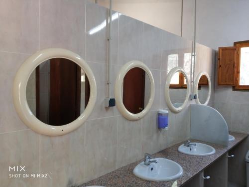 Camping Moli L' Abad