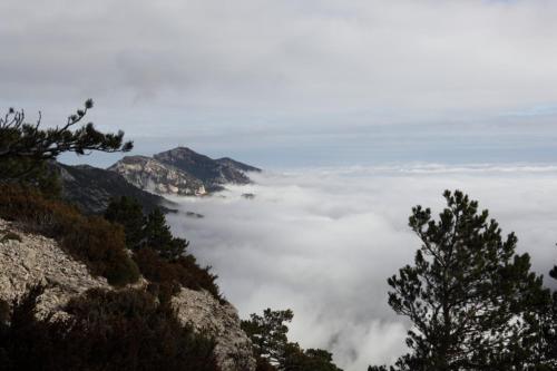 Camping Moli L' Abad