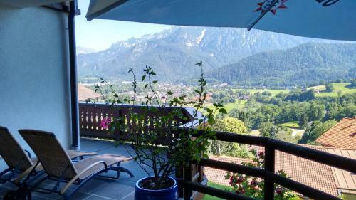 Hotel Restaurant Cafe Neu Meran