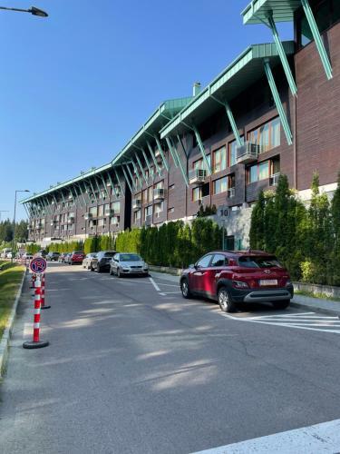 Luxury Silver Mountain Apartment
