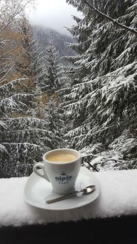 Alpin Resort Apartament Executiv