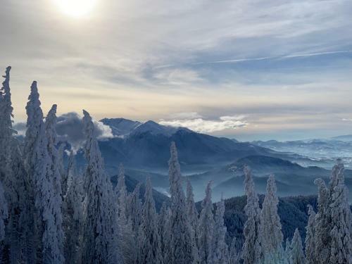 Apartamento Silver Mountain