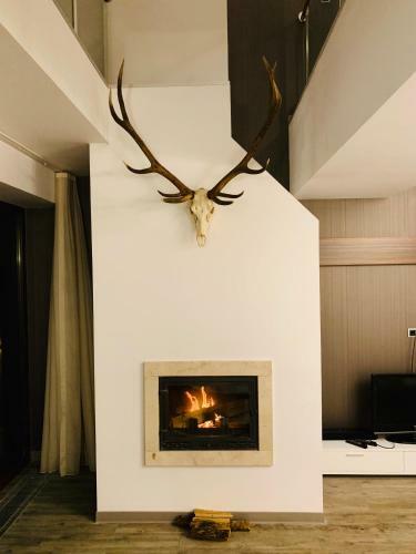 Apartamento Silver Mountain