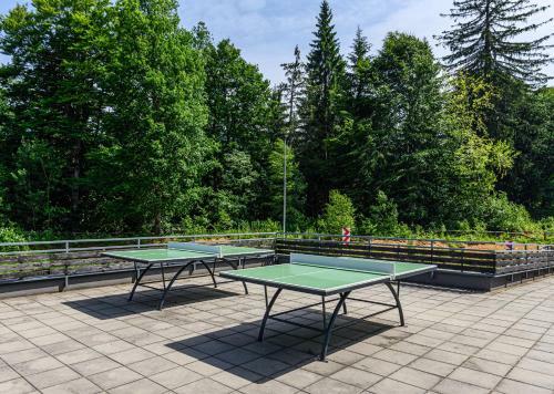 Fabulous Views Silver Mountain 3 Rooms Apartment