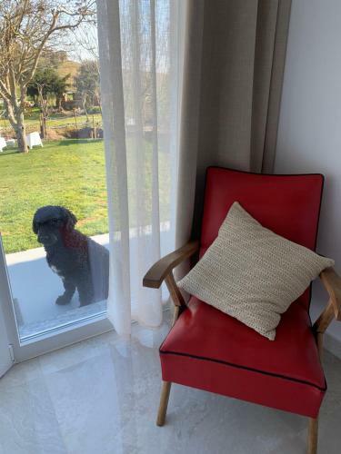 Bed & Breakfast Herdade Dos Sepol