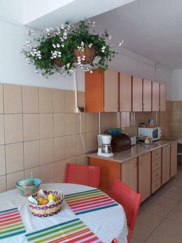 Hostal Vila Aris Eforie Nord