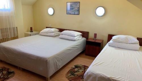 Hostal Pensiunea Dana