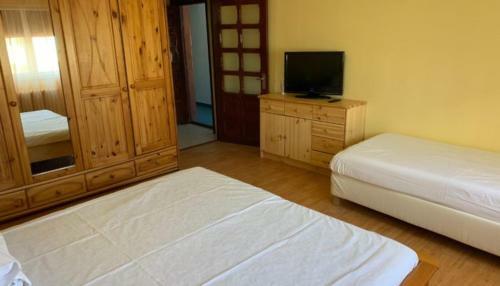 Hostal Pensiunea Dana