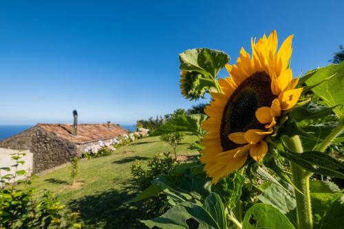 Casa Do Castanheiro - Nordeste, A�ores