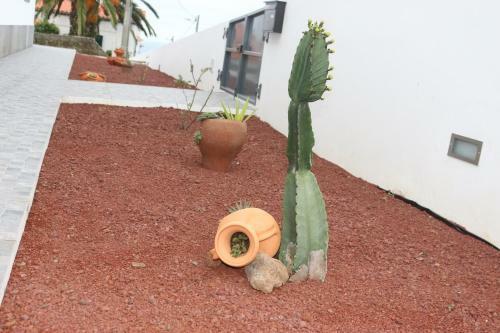 Casa Do Adro -granel