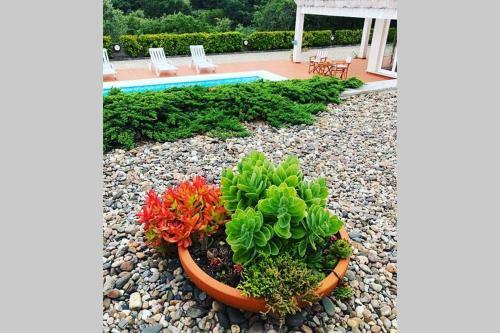 Villa F�tima-our�m - Quinta Da Luz - Breakfast Included