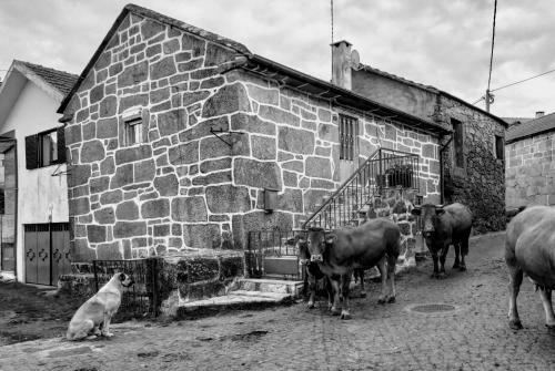 P� Na Aldeia