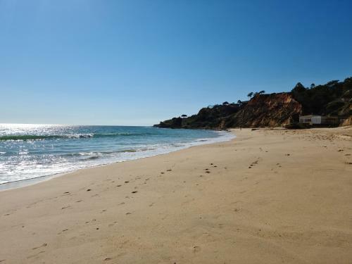 Apartamento T1 (2-4 Per.)com Piscina, Perto Da Praia