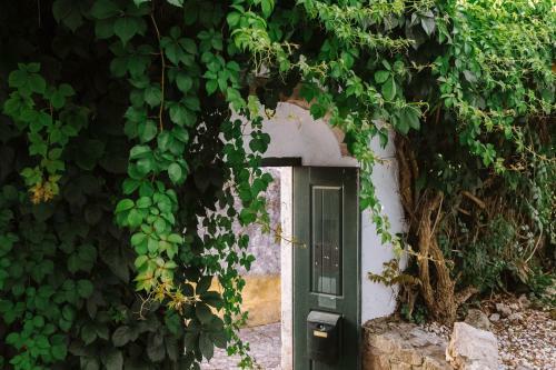 Hostal Casa Ant�nio Moreira
