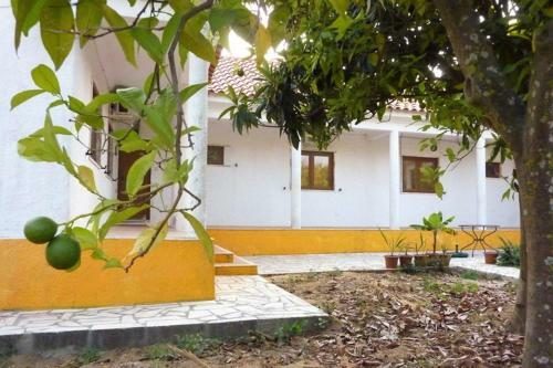 Bed & Breakfast Quinta Laranjal Da Arrabida
